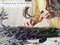 Royal Imports Bulk Green Paddle Wire Spool 120 YD roll, 23 Gauge, Floral Arrangements, Florist Supplies, Jewelry, Gift, Crafts, Wreath Making, Flower Garland, Plant Stem Garden Ties, Bouquet Bind Wrap